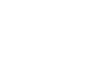 Avalon_Logo_WHITE_sm_v2